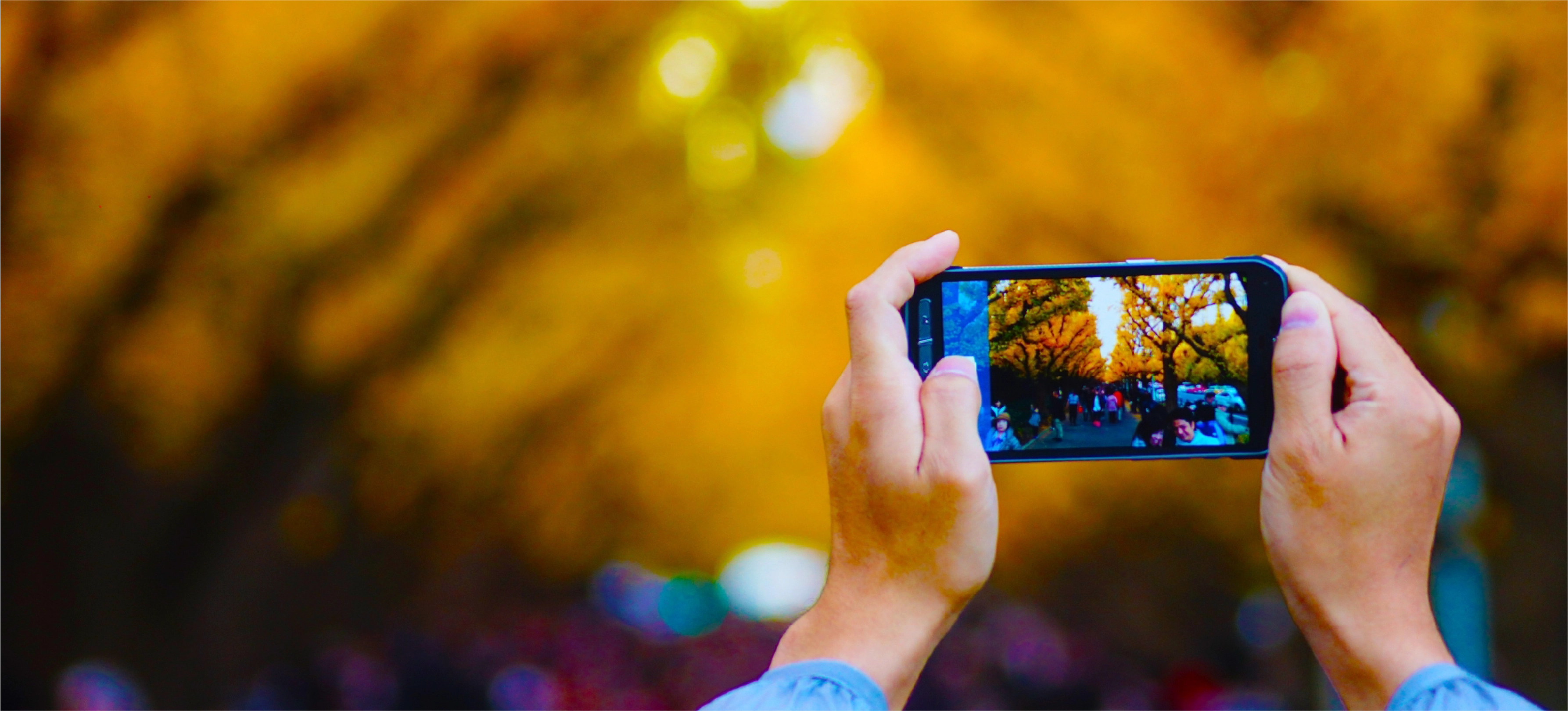 事業内容のタイトル画像