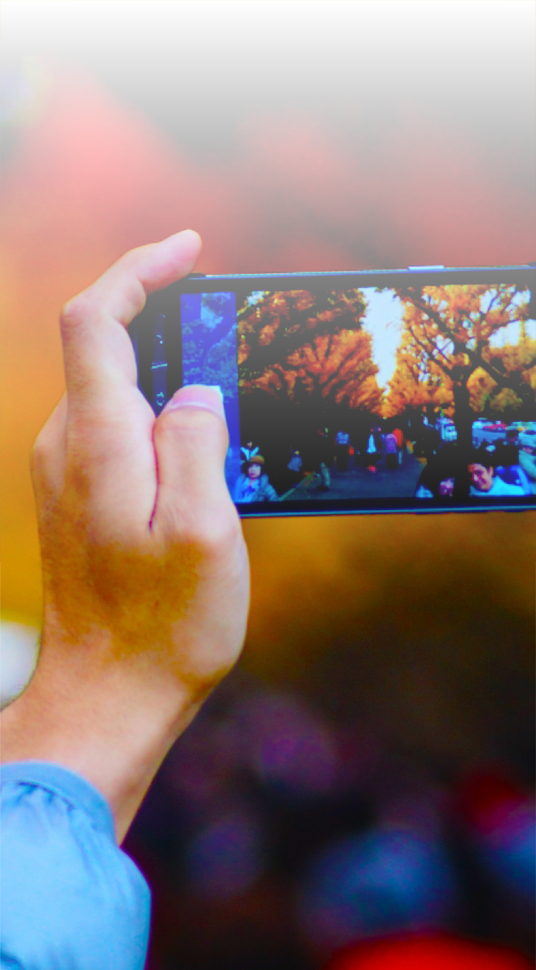 事業内容のタイトル画像